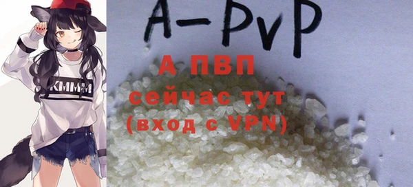 PSILOCYBIN Беломорск